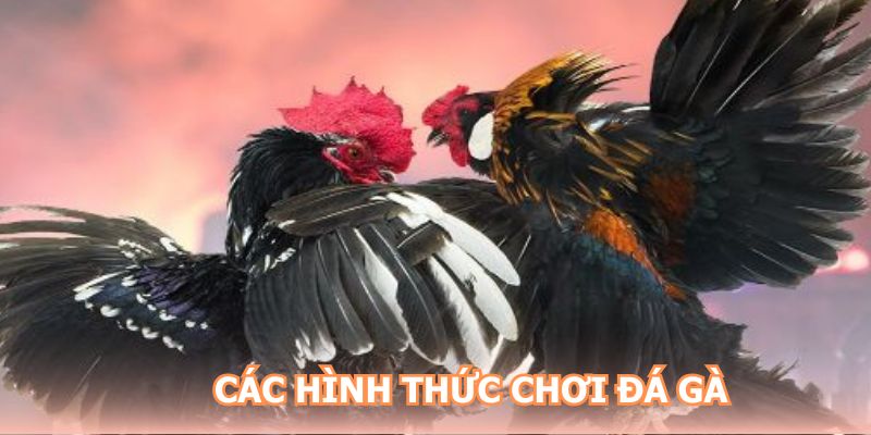 Các hình thức chơi hấp dẫn được lựa chọn nhiều hiện nay